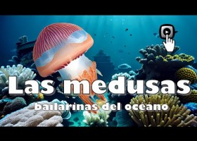 LAS MEDUSAS, BAILARINAS DEL OCÉANO | Recurso educativo 7902813