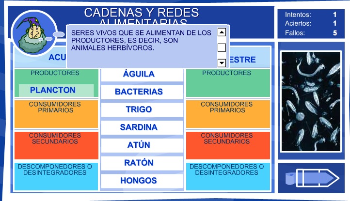 Las cadenas y redes alimentarias | Recurso educativo 35739