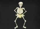 Skeleton dance | Recurso educativo 41433