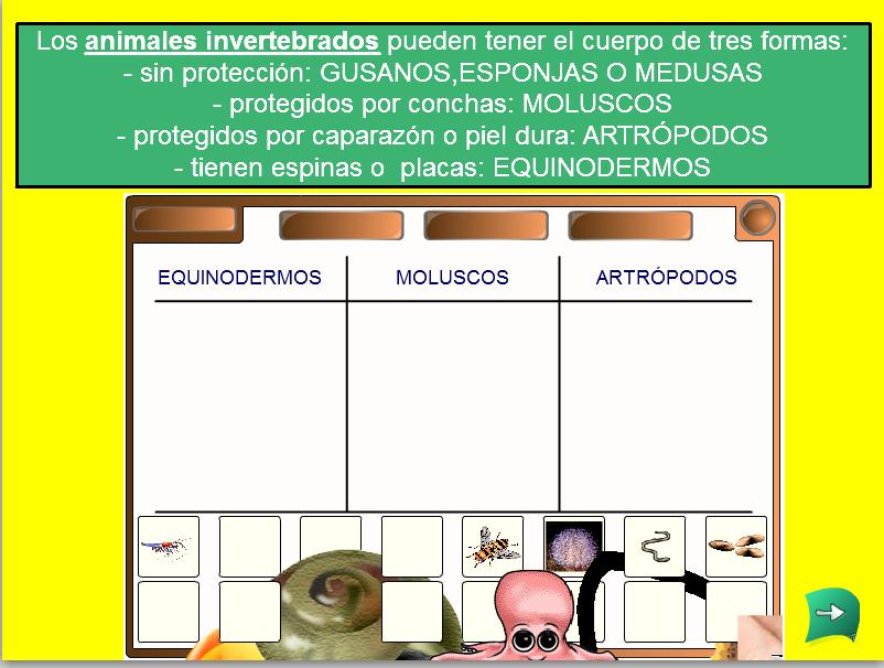 Los animales invertebrados | Recurso educativo 47493