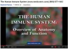 El sistema immune humà | Recurso educativo 48130