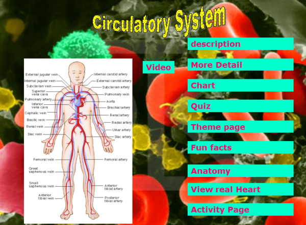 Human body activities | Recurso educativo 48611