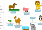 Names of animals | Recurso educativo 11705