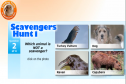 Scavengers Hunt | Recurso educativo 17048