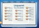 Linguasnet | Recurso educativo 6340