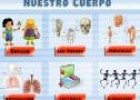 Tema interactivo: Cuerpo Humano | Recurso educativo 7400