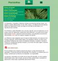 Las plantas | Recurso educativo 7579