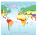 Los climas del mundo | Recurso educativo 71474