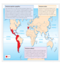 La variación lingüística: Las variaciones geográficas de la lengua | Recurso educativo 81089