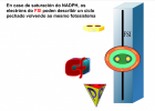 54.6 KB file on MEGA | Recurso educativo 786017