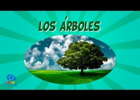 Los árboles | Recurso educativo 787485